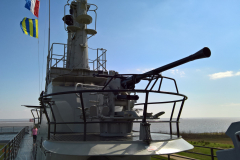 06