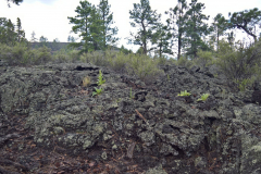 WP_20170813_16_02_26_Pro